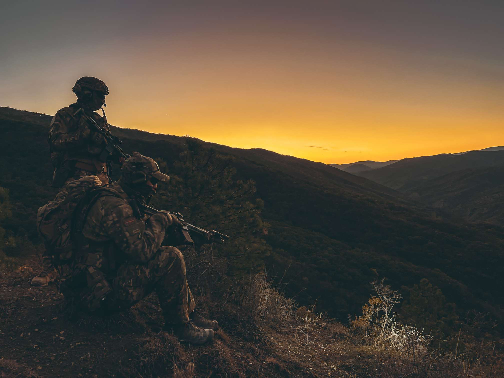 multicam alpine plate carrier